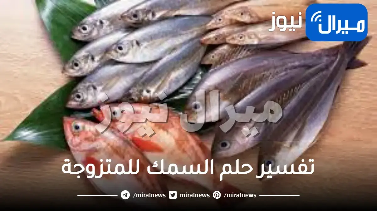 تفسير حلم السمك للمتزوجة