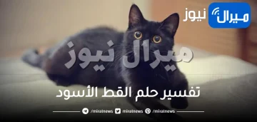 تفسير حلم القط الأسود