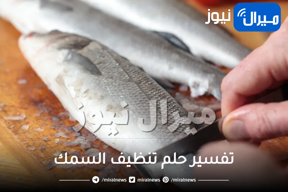 تفسير حلم تنظيف السمك تعرف على معناة من عدة اتجاهات مختلفة