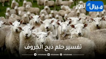 تفسير حلم ذبح الخروف من عدة اتجاهات لعديد من المفسرين