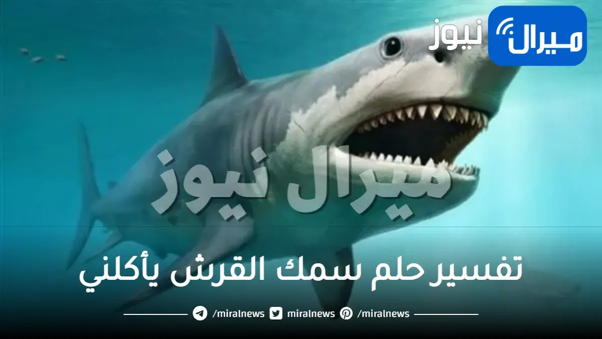 تفسير حلم سمك القرش يأكلني