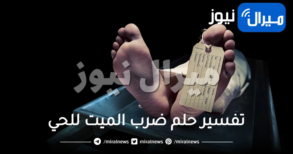 تفسير حلم ضرب الميت للحي .. وتأويل أشهر شيوخ المفسرين