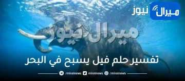 تفسير حلم فيل يسبح في البحر ورؤية الفيل في المنام