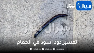 تفسير دود اسود في الحمام