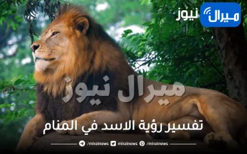تفسير رؤية الاسد في المنام للمتزوجة ودلالة الهروب منه عند الهجوم
