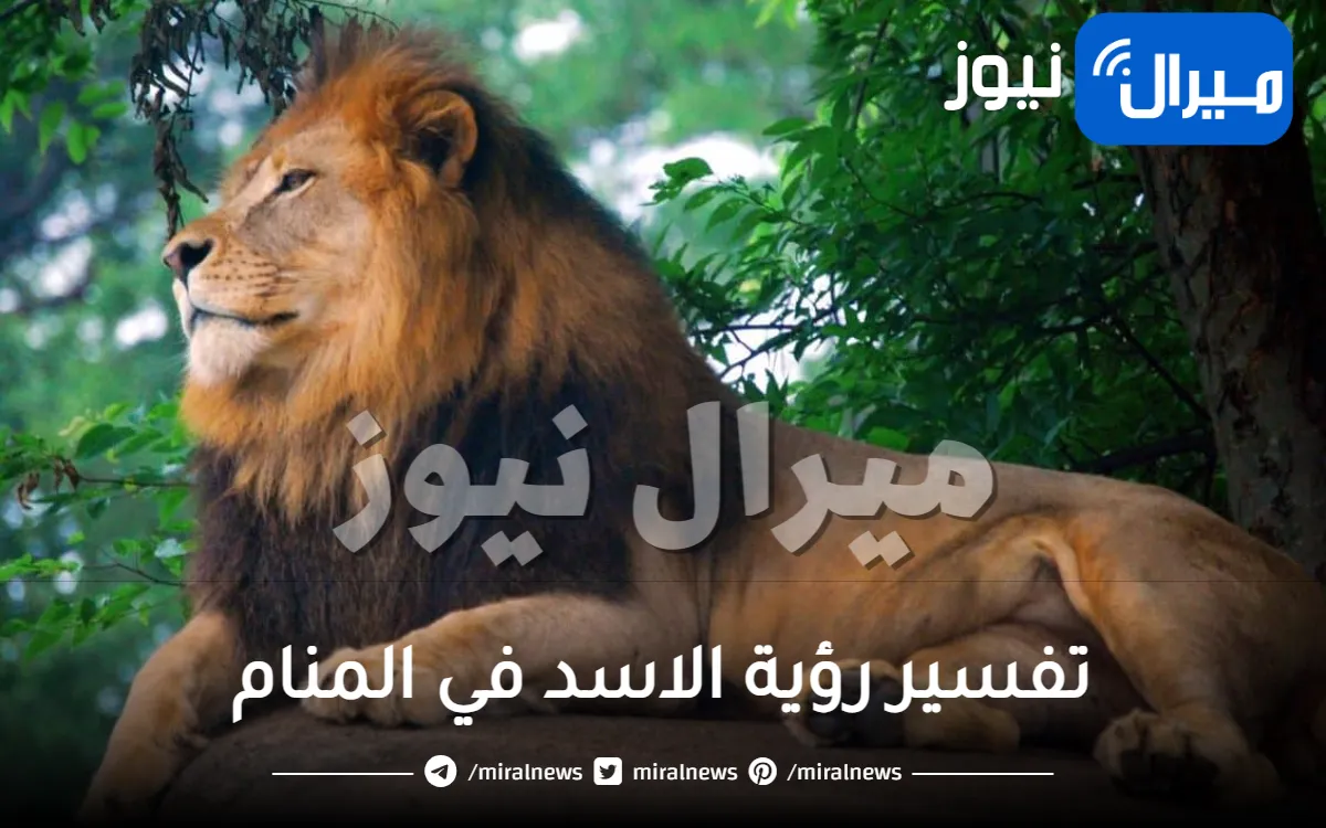 تفسير رؤية الاسد في المنام للمتزوجة ودلالة الهروب منه عند الهجوم