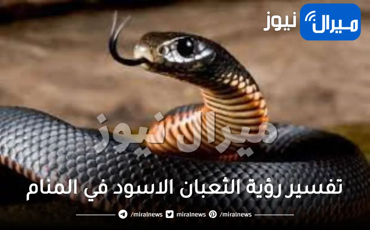 تفسير رؤية الثعبان الاسود في المنام