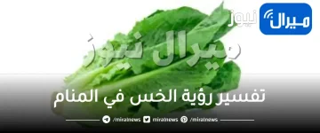 تفسير رؤية الخس في المنام للحامل