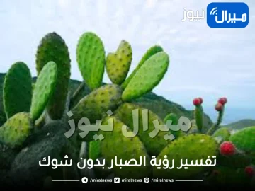 تفسير رؤية الصبار بدون شوك في المنام للمتزوجة