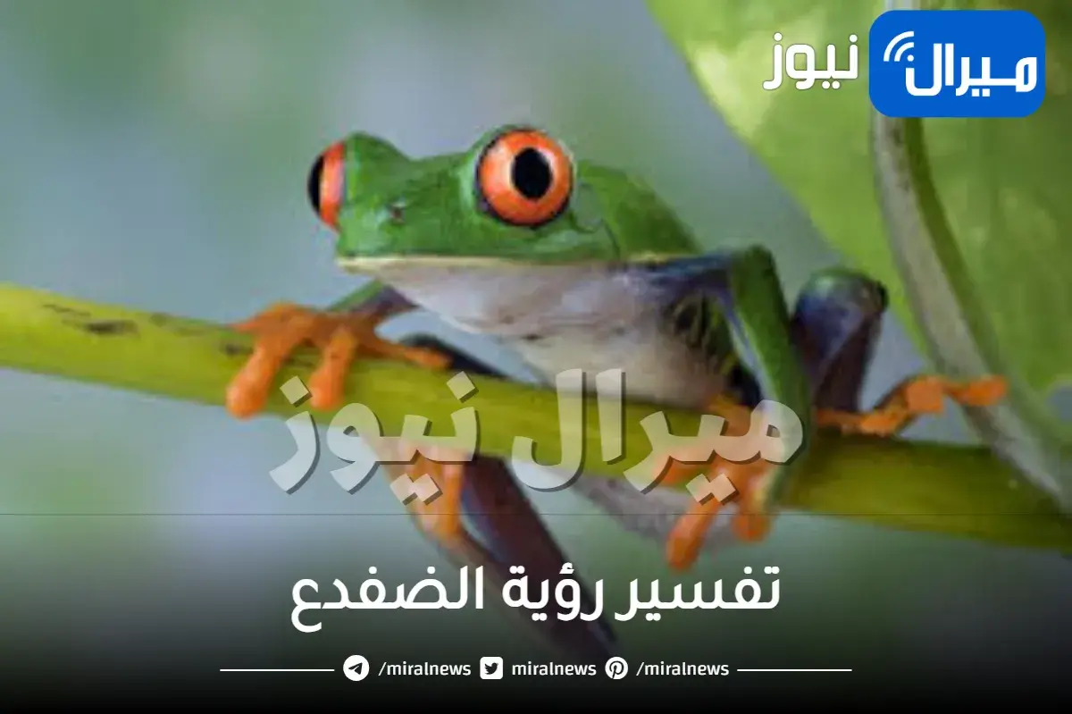 تفسير رؤية الضفدع في الحلم بجميع صوره ورؤياه