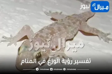 تفسير رؤية الوزغ في المنام لابن سيرين والنابلسي وابرز دلالاتها