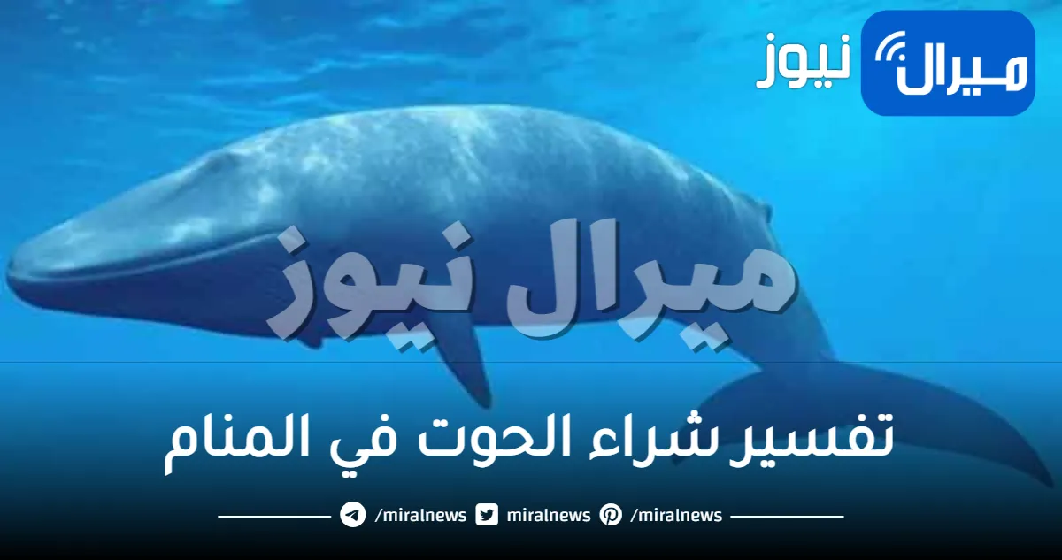 تفسير شراء الحوت في المنام