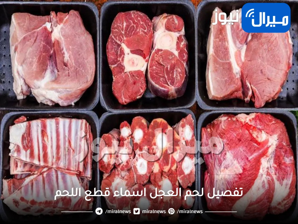 تفصيل لحم العجل وأسماء قطع اللحم واستخداماتها
