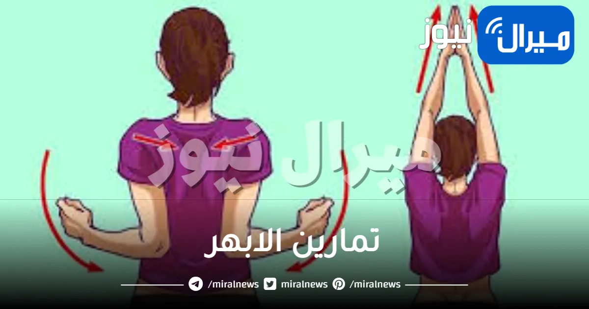 تمارين الابهر