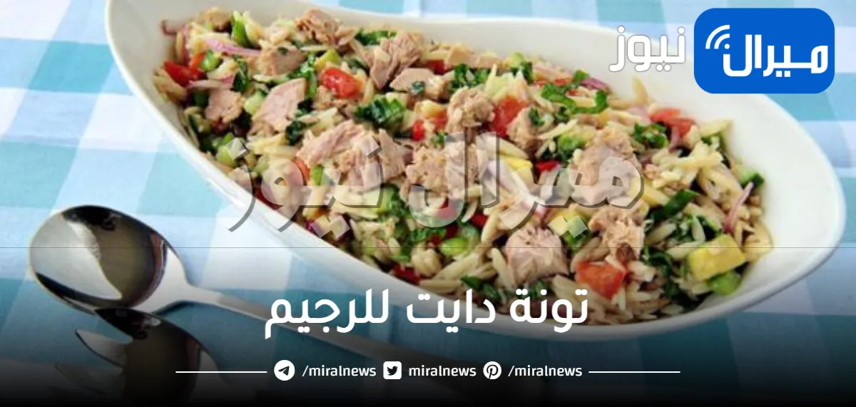 تونة دايت للرجيم