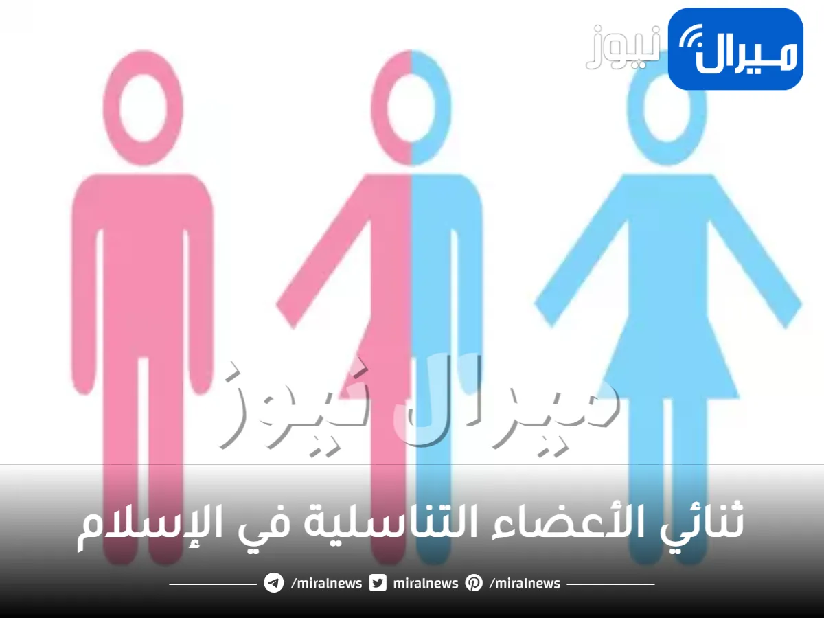 ثنائي الأعضاء التناسلية في الإسلام