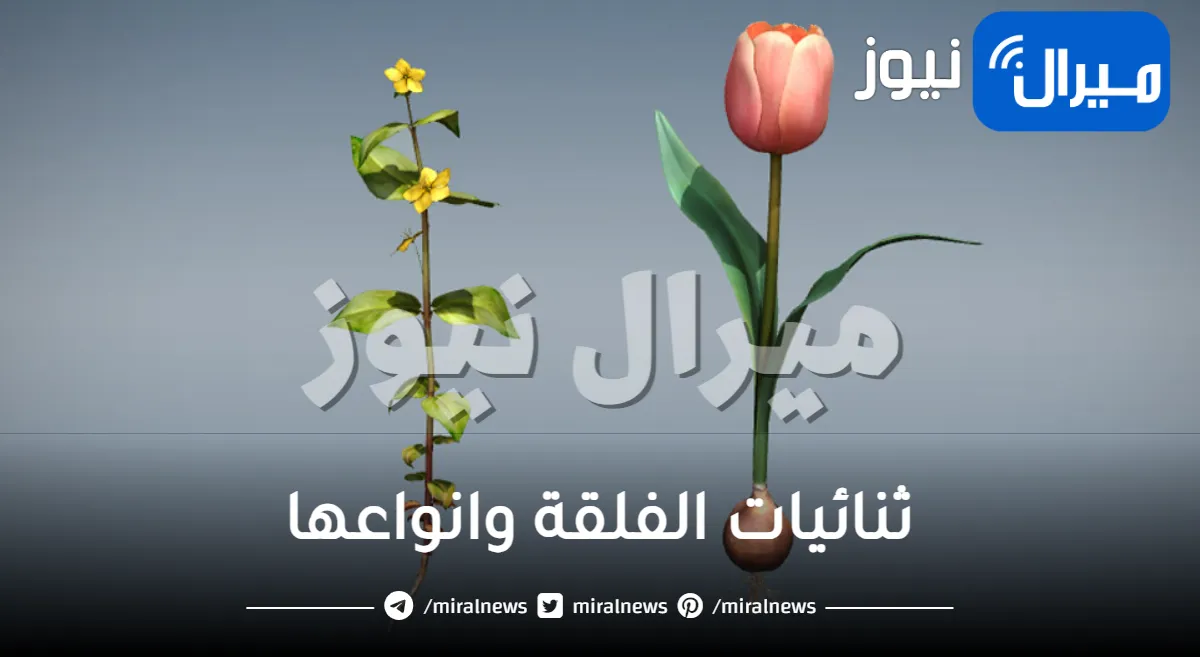 ثنائيات الفلقة وانواعها وهل المشمش والكتان منها ؟