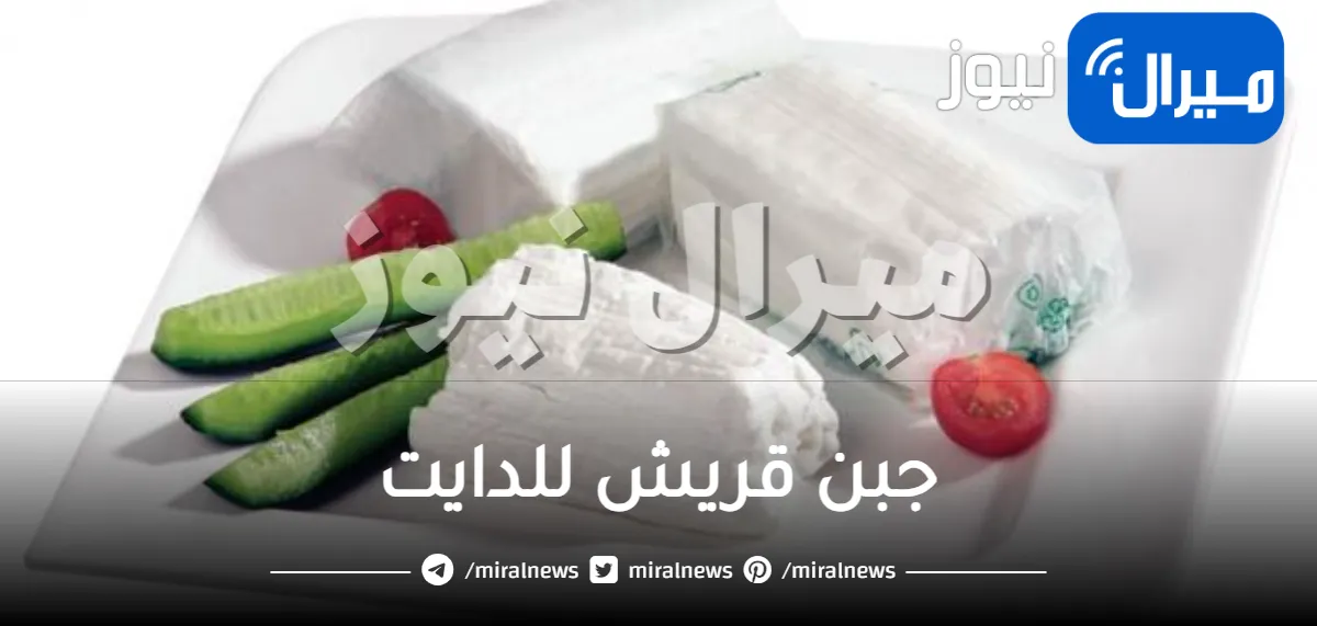 جبن قريش للدايت