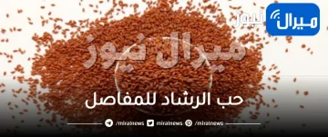 طريقة استخدام حب الرشاد للمفاصل