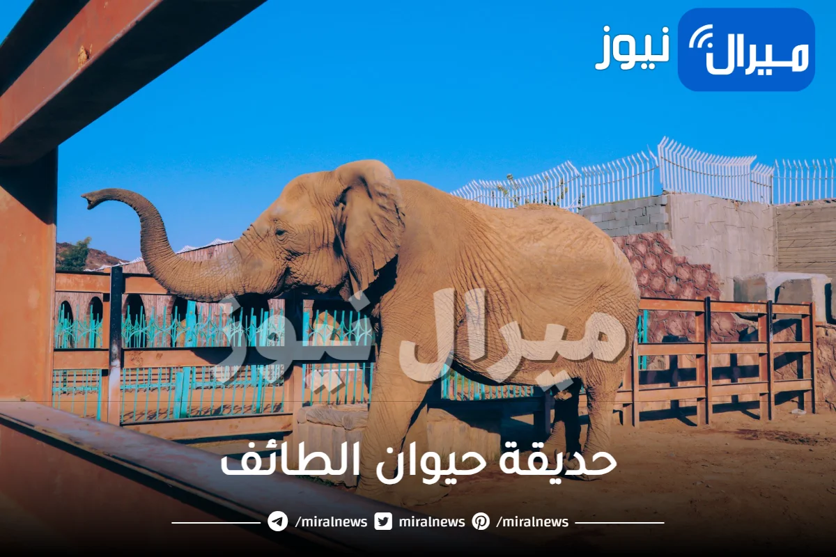 حديقة حيوان الطائف