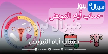 حساب أيام التبويض والجماع