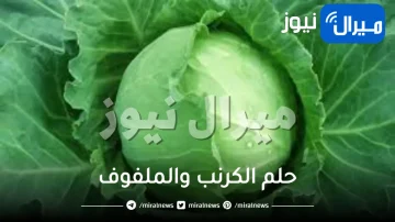 حلم الكرنب والملفوف للعزباء والحامل