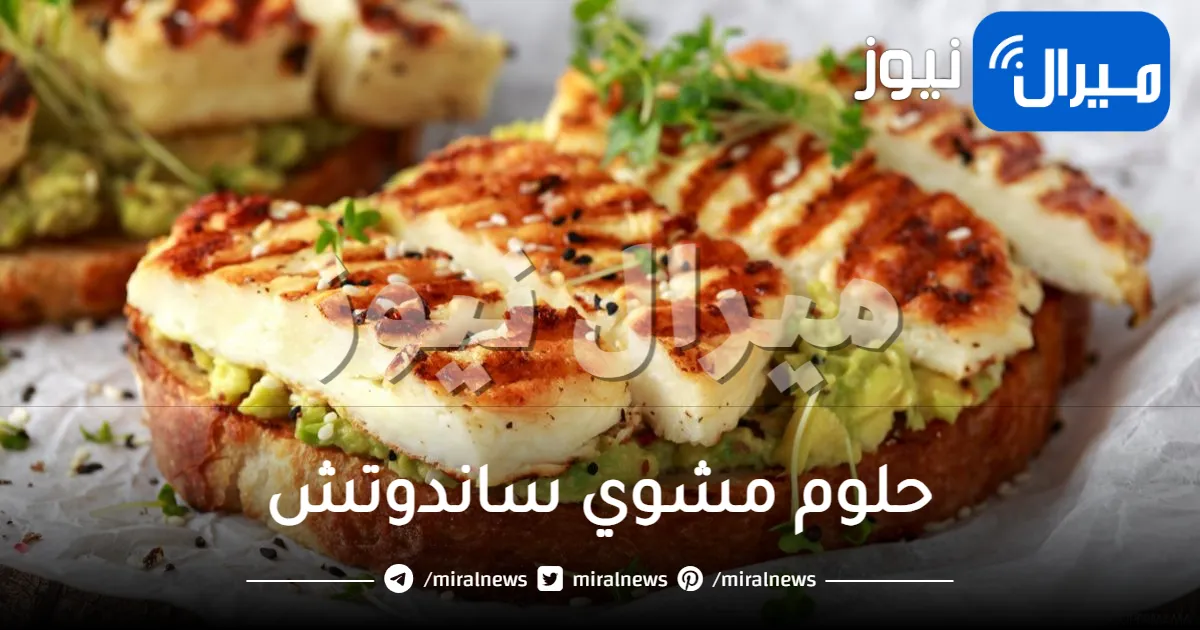 حلوم مشوي ساندوتش