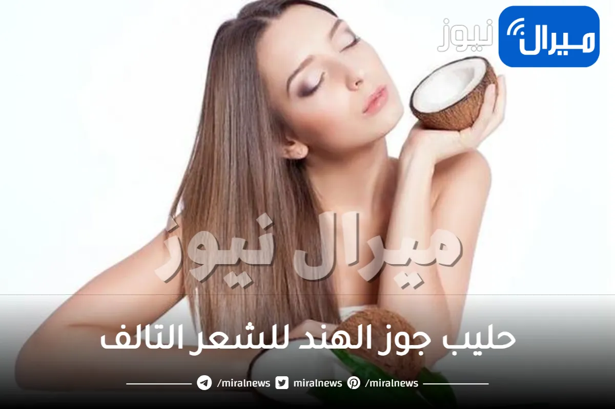 حليب جوز الهند للشعر التالف