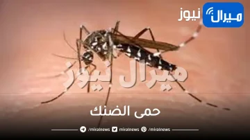 حمى الضنك