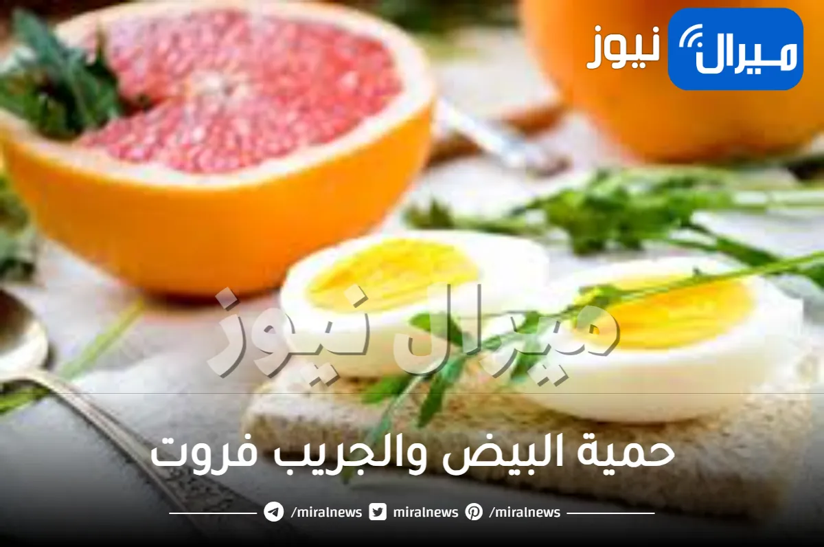 حمية البيض والجريب فروت .. كيف تخسرين 4 كيلوغرامات في غضون بضعة أيام ؟