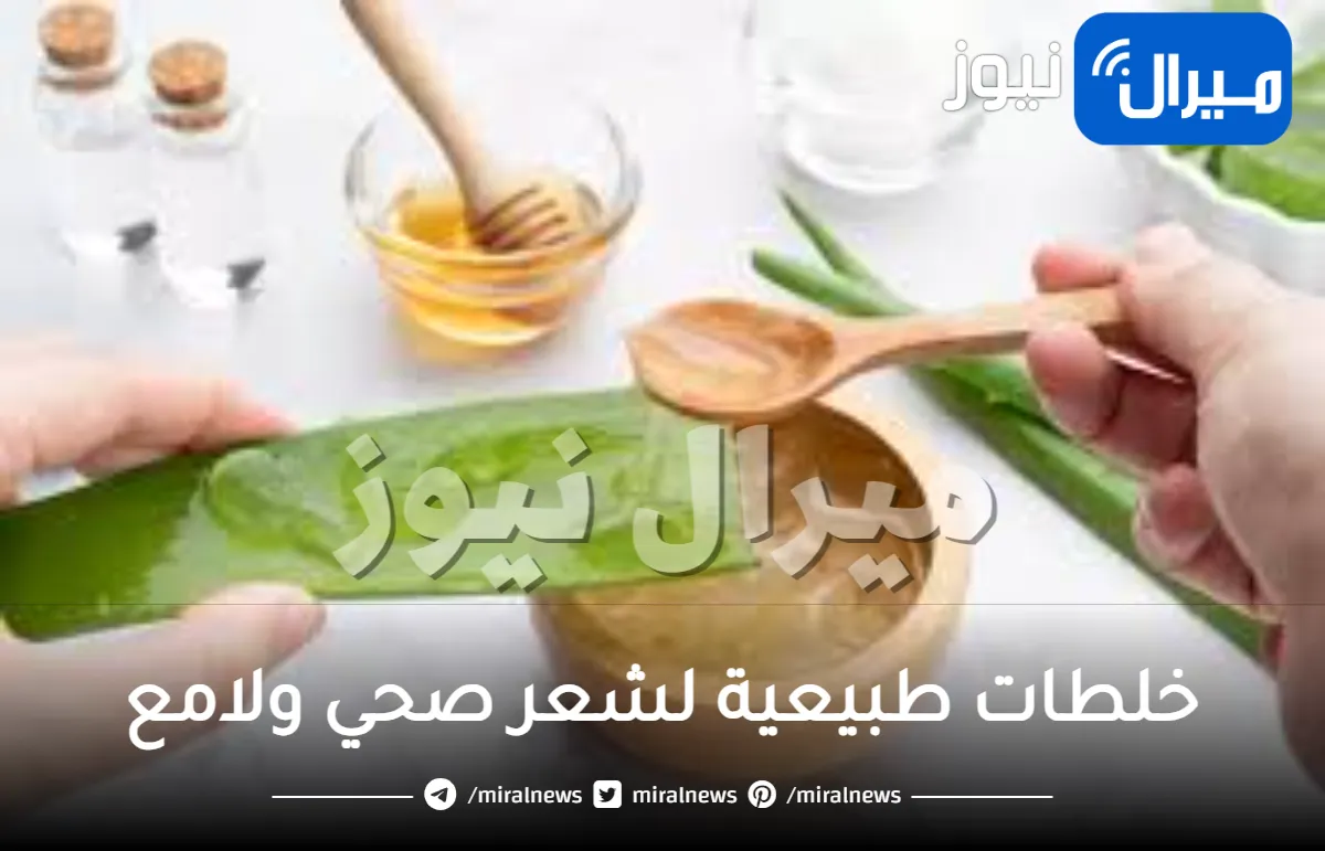 10 أفضل خلطات للحصول على شعر صحي