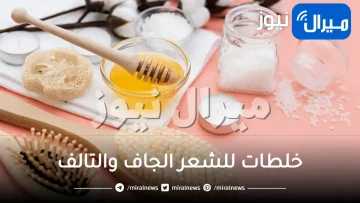 20 خلطة لعلاج الشعر الجاف والتالف