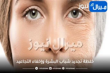 12 خلطة تجديد شباب البشرة وإخفاء التجاعيد