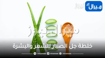 خلطة جل الصبار للشعر والبشرة
