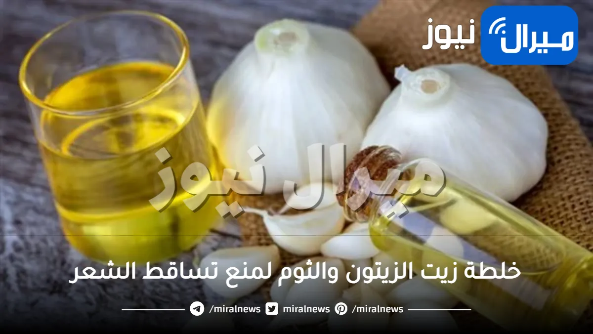 خلطة زيت الزيتون والثوم لمنع تساقط الشعر نهائيا