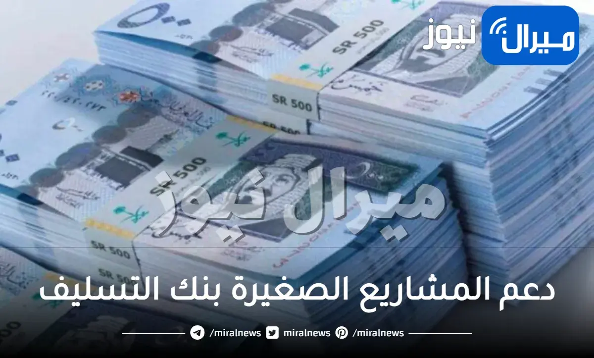 دعم المشاريع الصغيرة بنك التسليف