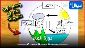 دورة الماء وشرحها ومراحلها بالتفصيل