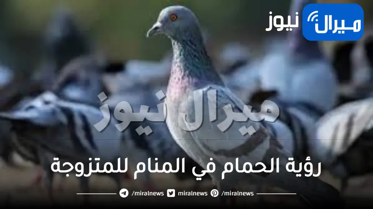 رؤية الحمام في المنام للمتزوجة