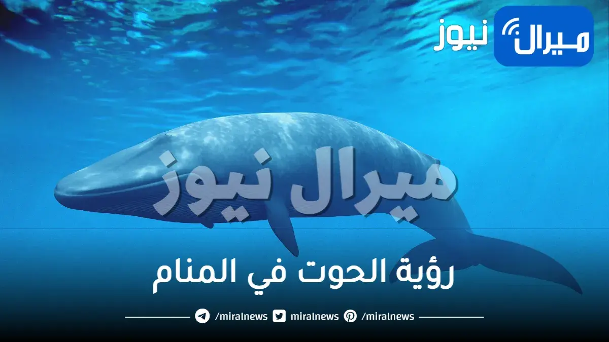 رؤية الحوت في المنام