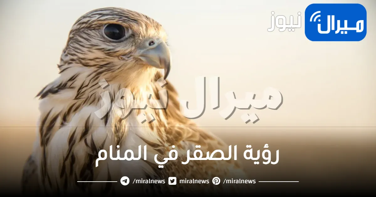 رؤية الصقر في المنام