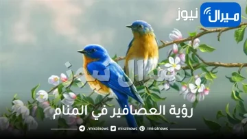 رؤية العصافير في المنام للعزباء 