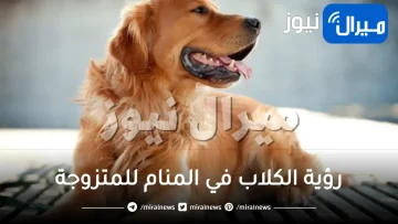 رؤية الكلاب في المنام للمتزوجة