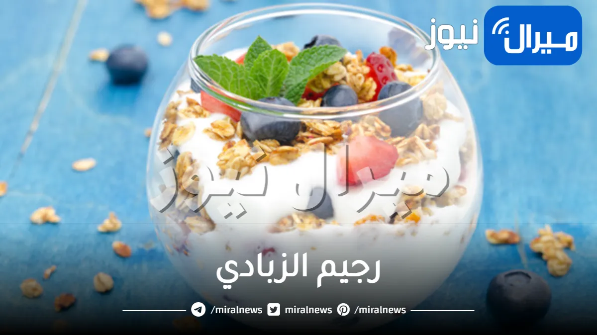 رجيم الزبادي لإنقاص الوزن الزائد