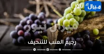 رجيم العنب للتنحيف