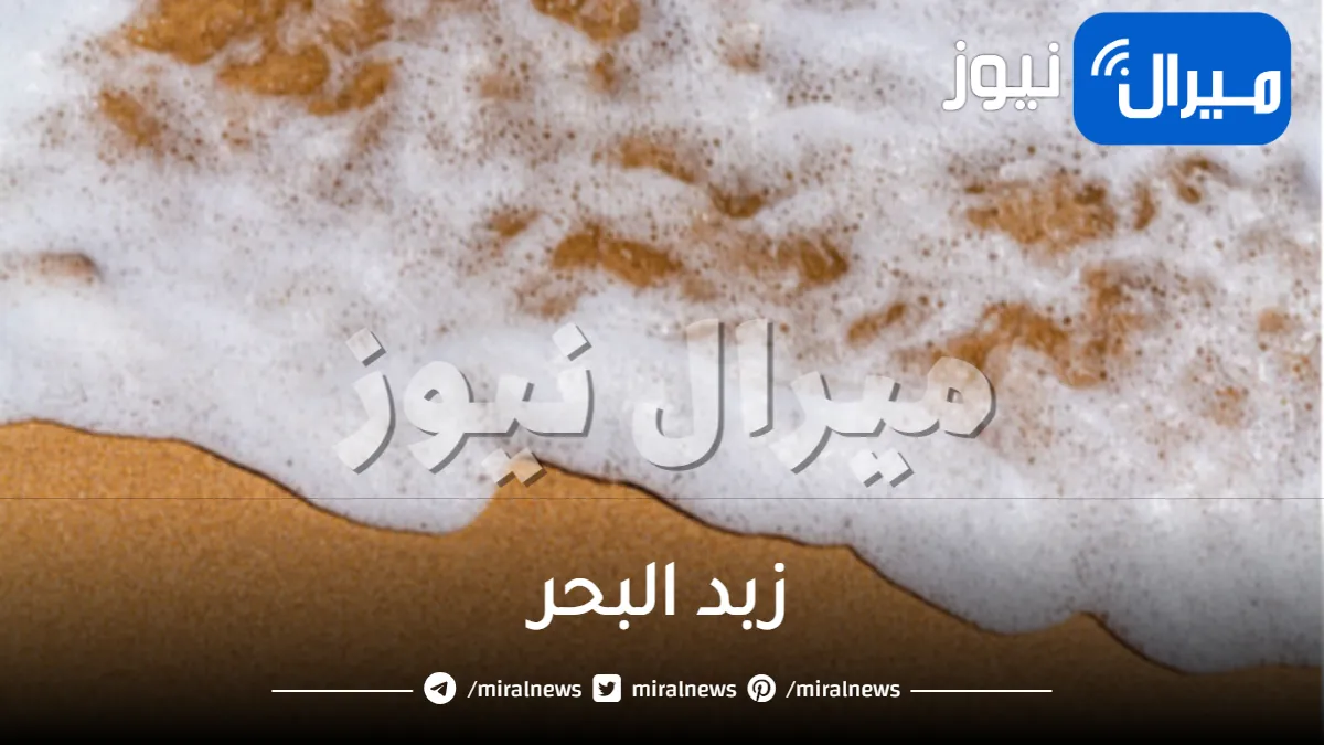 زبد البحر في القران وما أهم فوائده