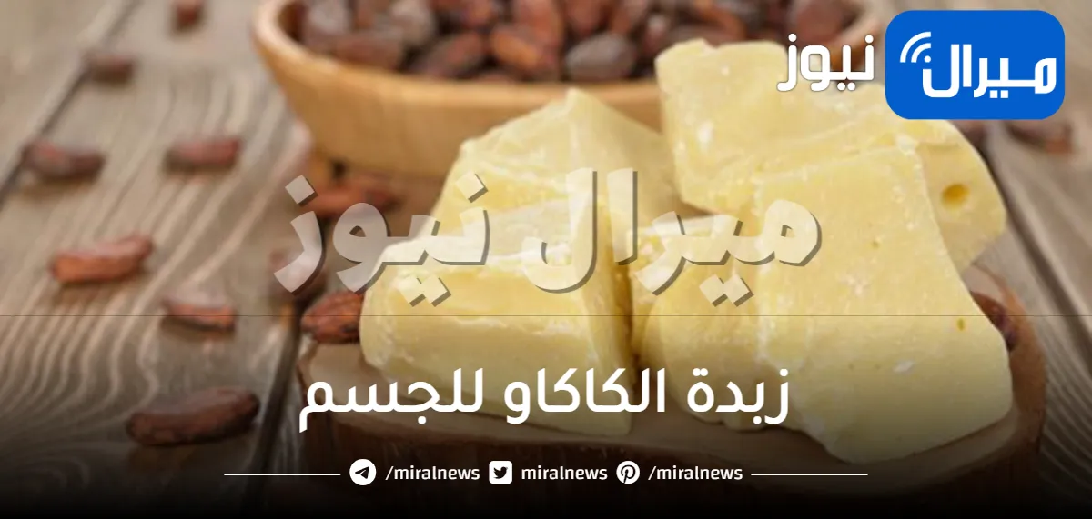 زبدة الكاكاو للجسم