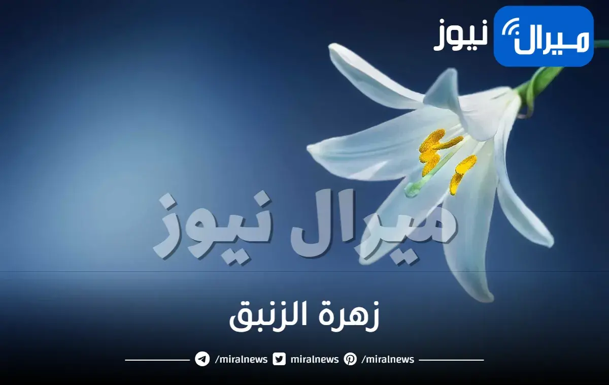 زهرة الزنبق