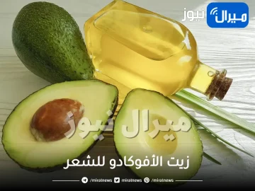 فوائد وخلطات زيت الأفوكادو المذهلة للشعر