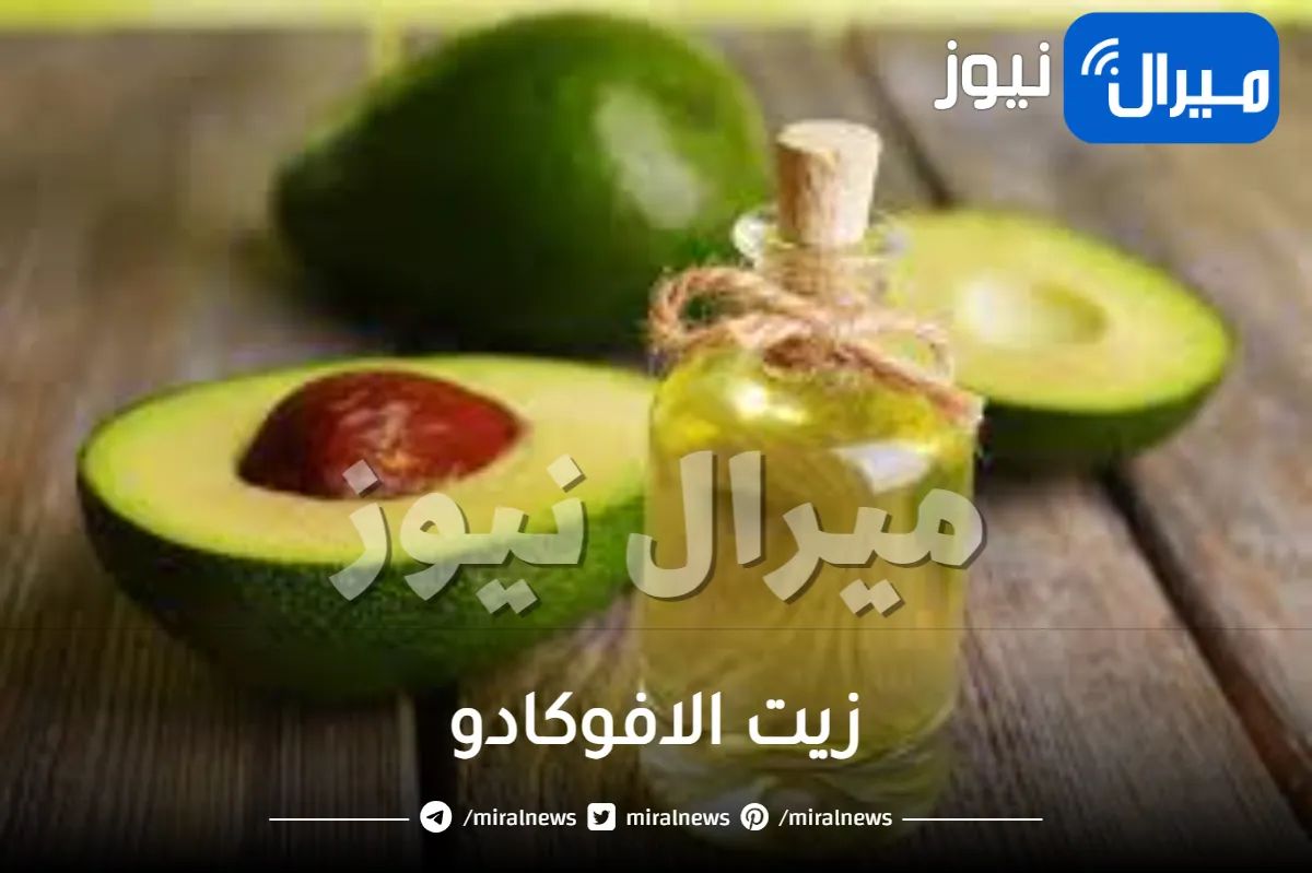 زيت الافوكادو