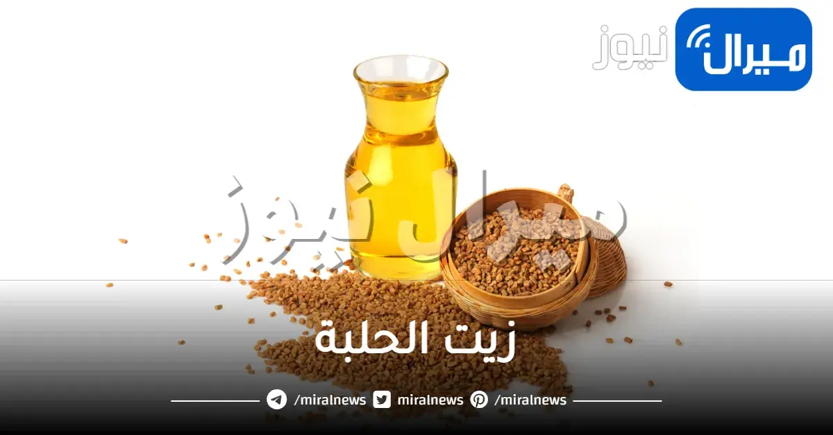 كيفية استعمال زيت الحلبة وهل يساعد على زيادة الوزن تجربتي مضمونة نتائجها 100%